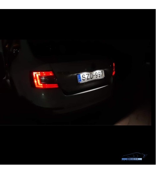 Skoda/Volkswagen/Seat LED Rendszámtábla világítás foglalattal (Skoda/Volkswagen/Seat)